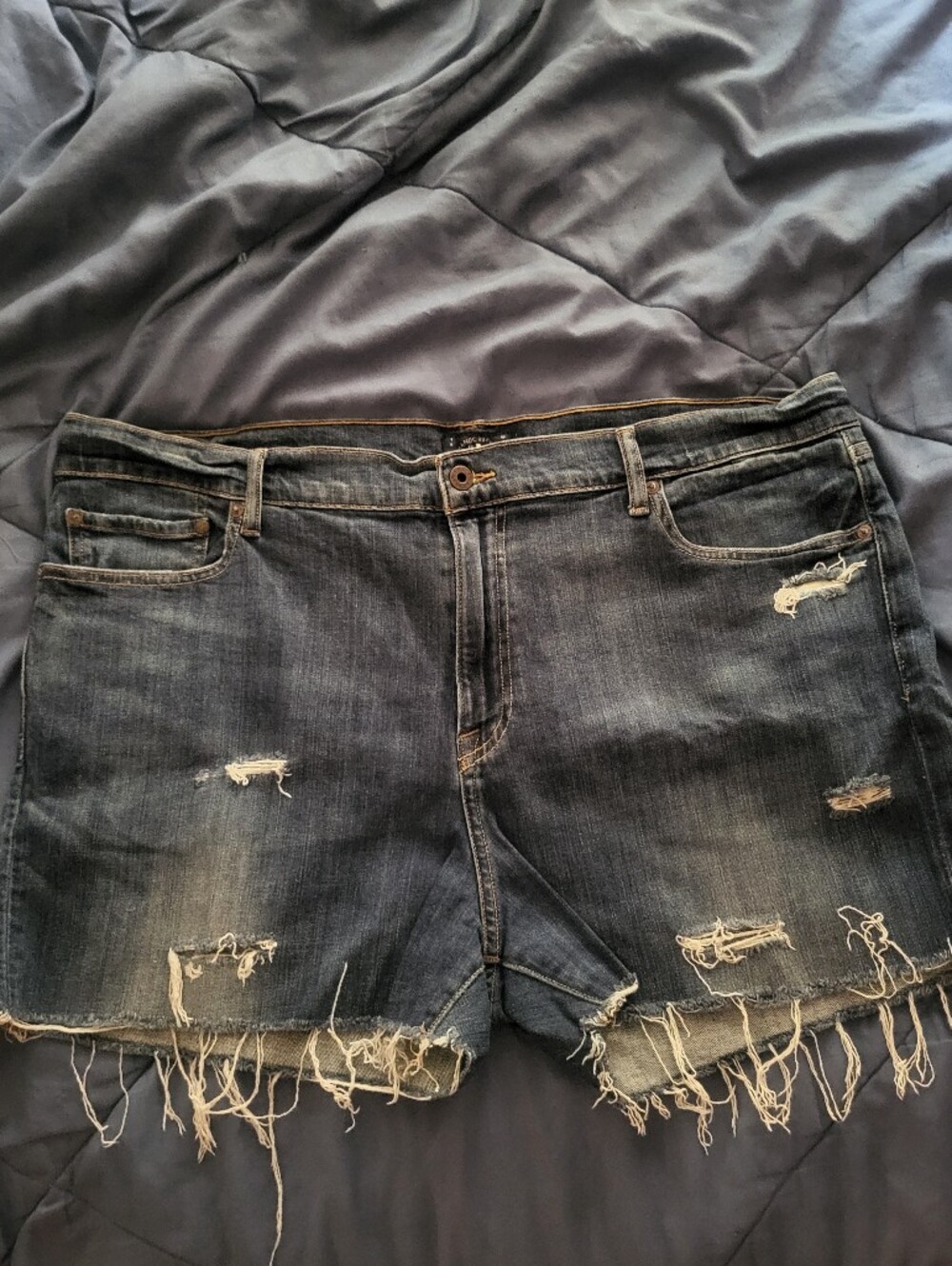 Lucky Brand Dark Blue Distressed Shorts~Size 20. - Picture 9 of 9